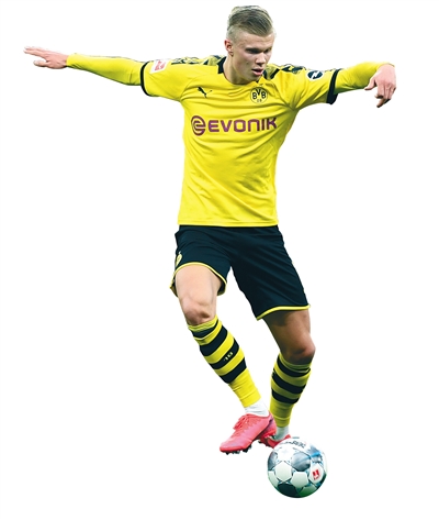 说明该届赛 说明该届赛