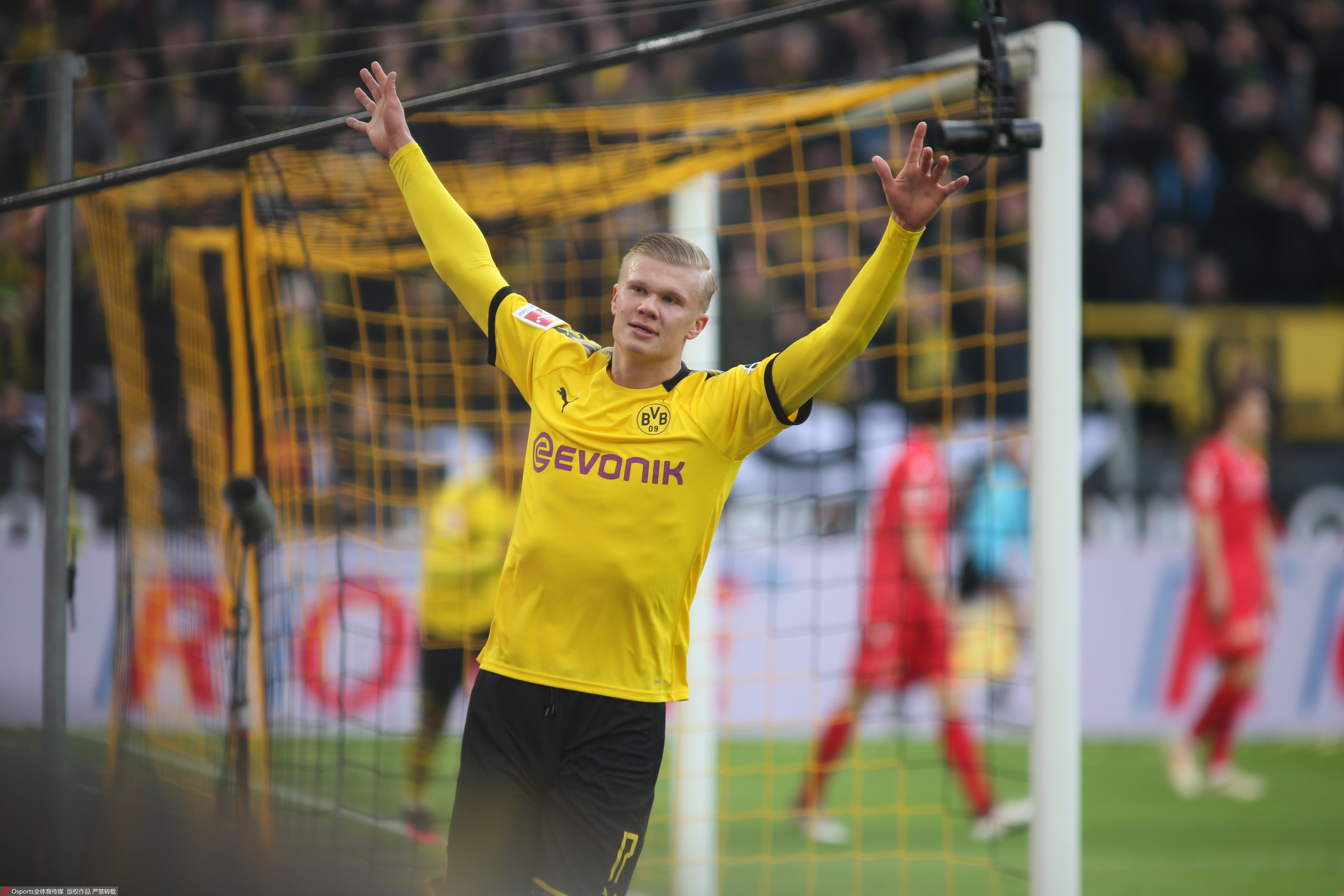 若国际邀请 若国际邀请